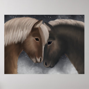 Póster Afecto ártico: Caballos islandeses en embrión de n