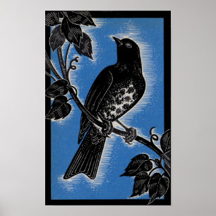 Póster afeitado negro con azul