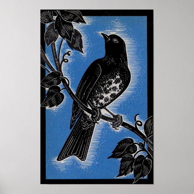 Póster afeitado negro con azul (Frente)