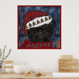 Póster Affenpinscher