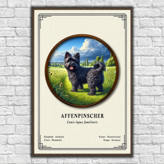 Póster Affenpinscher Zoology Series (Subido por el creador)