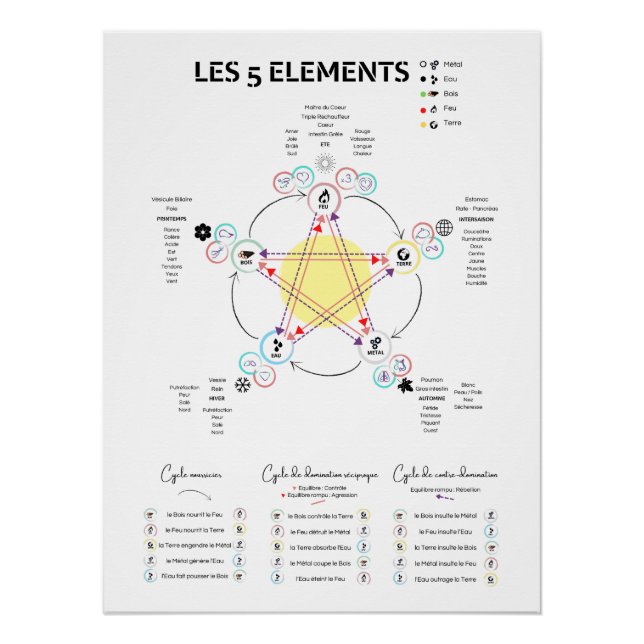 Póster Affiche 5 éléments Médecine Chinoise (Anverso)