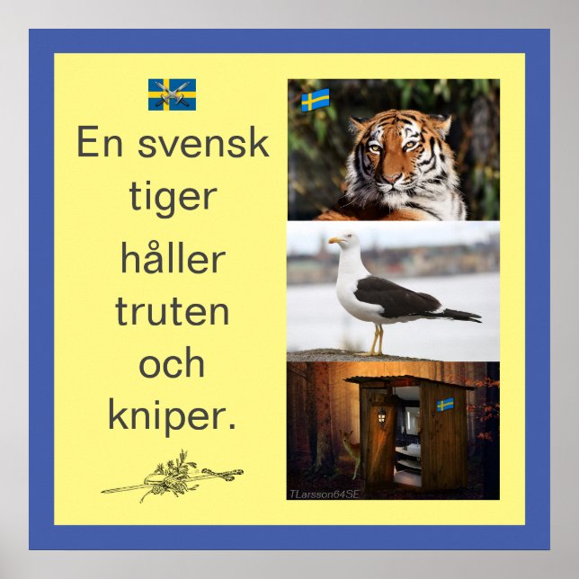 Póster Affisch — Tigre de En Svensk (Frente)