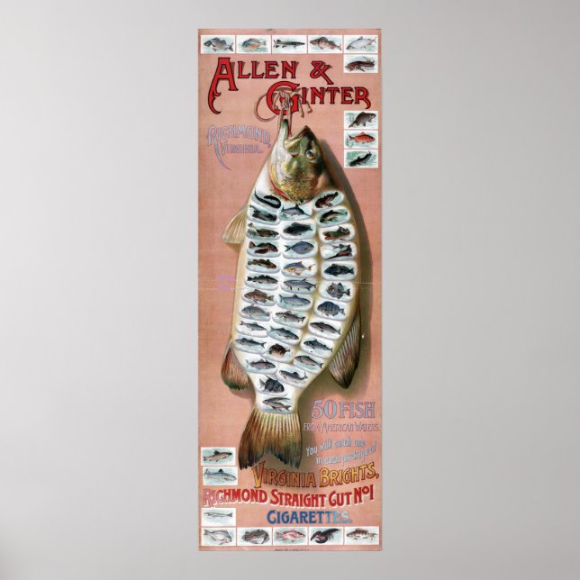 Póster Afiche de 50 peces de aguas estadounidenses (Frente)