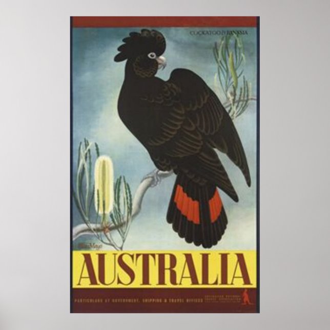 Póster Afiche de Black Cockatoo Vintage (Frente)