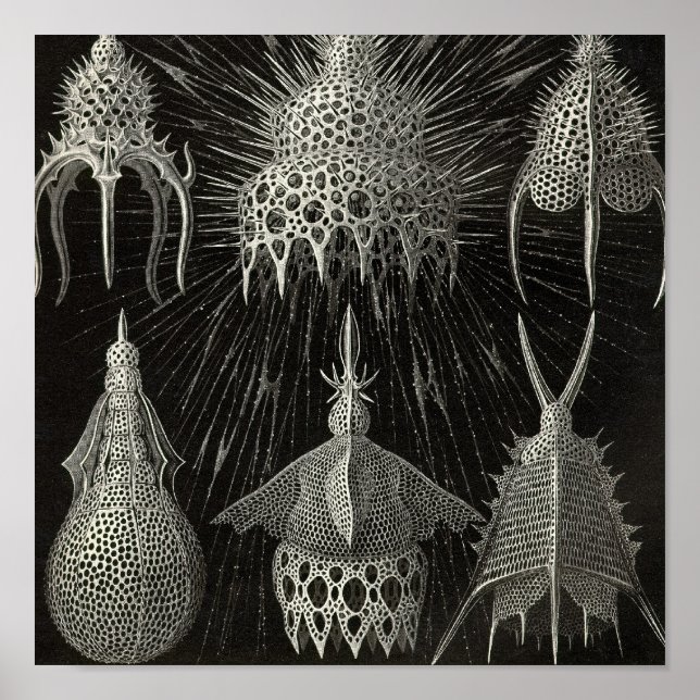 Póster Afiche de época (Frente)