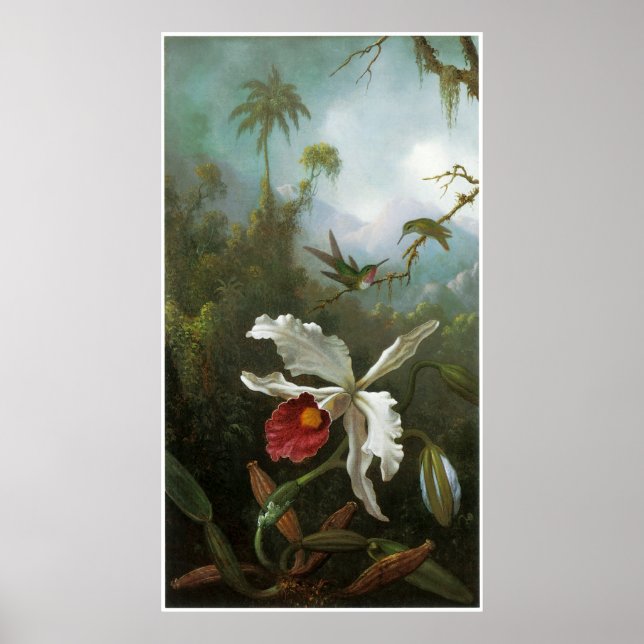 Póster Afiche de época de Cattleya Orchid (Frente)