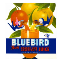 Afiche de juice de Naranja de pájaro azul