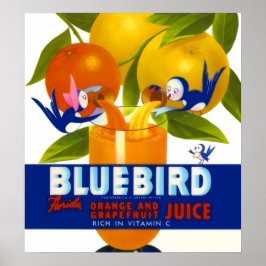 Póster Afiche de juice de Naranja de pájaro azul
