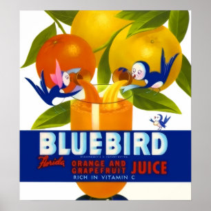 Póster Afiche de juice de Naranja de pájaro azul