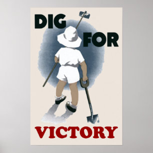 Póster Afiche De La Dignidad De La Victoria