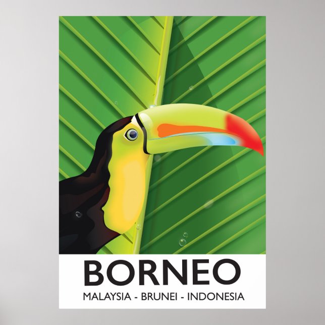 Póster Afiche de viaje de Borneo Toucan (Frente)