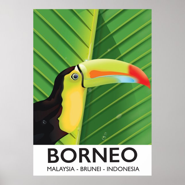Póster Afiche de viaje de Borneo Toucan (Frente)