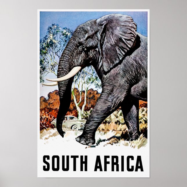 Póster Afiche de viaje de Sudáfrica (Frente)