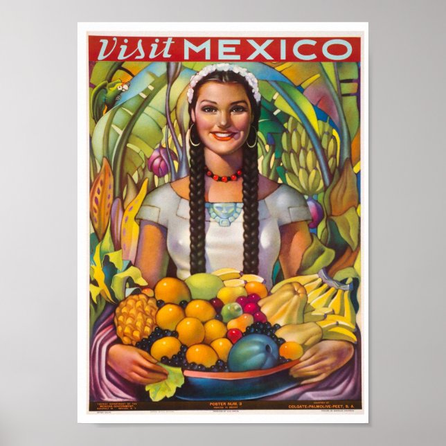 Póster Afiche de Viaje de Visita a México (Frente)
