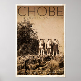 Póster Afiche de viaje del Parque Nacional Vintage Chobe