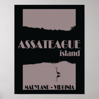 Póster Afiche de viajes de la isla de Assateague