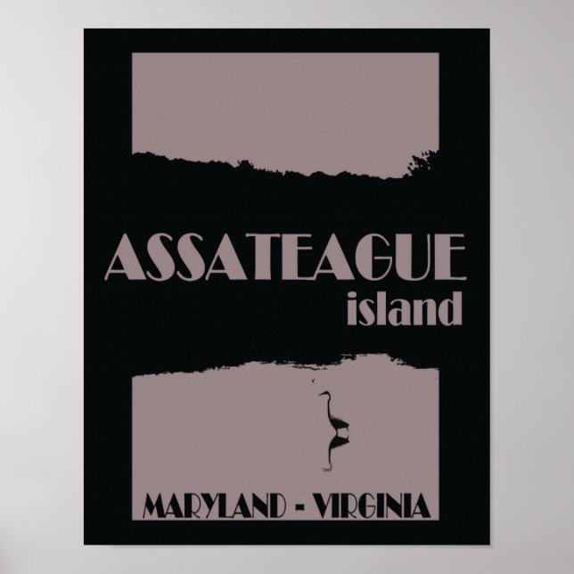 Póster Afiche de viajes de la isla de Assateague (Frente)