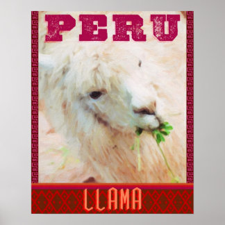 Póster Afiche de viajes del Perú - Las Llamas del Perú