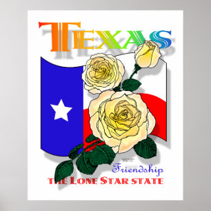Póster Afiche del rosa de Texas