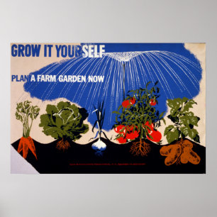 Póster Afiche Vegetable Garden Vintage