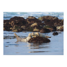 Afiches de sellos de puerto