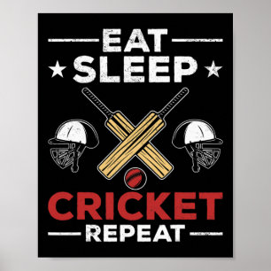 Póster Aficionados del cricket Amantes del cricket Comen
