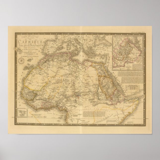 Póster África 20 (Frente)