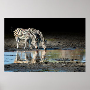 Póster África,Botsuana, Delta del Okavango, Davison Camp