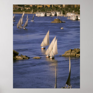 Póster África, Egipto, Alto Egipto, Asuán. Feluccas