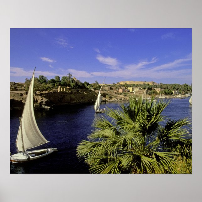 Póster África, Egipto, Alto Egipto, Asuán. Feluccas 2 (Frente)