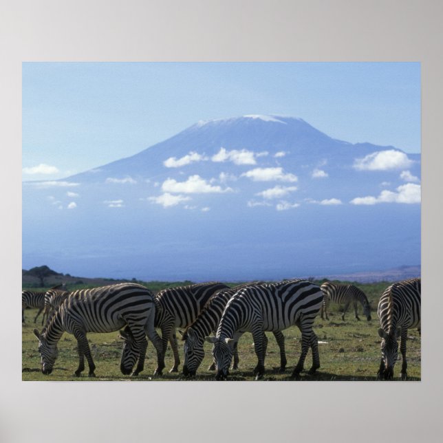 Póster África, Kenia, Parque Nacional de Amboseli, Manada (Frente)