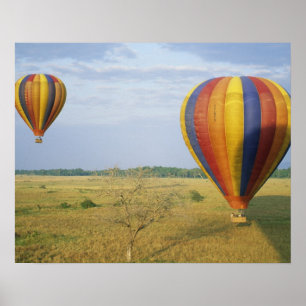 Póster África, Kenya, Reserva Nacional Masai Mara,