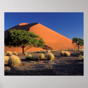Póster África, Namibia, el parque Namib-Naukluff, Sossosv