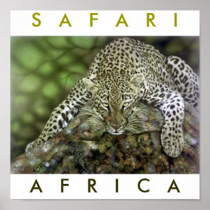 Póster África Safari