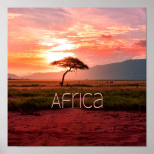 Póster Africa Sunset African