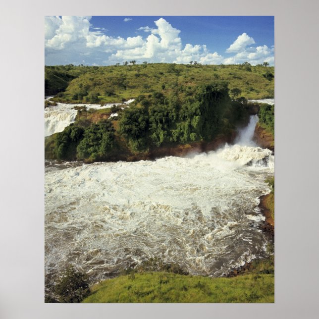 Póster África, Uganda, Parque Nacional de las Cataratas M (Frente)