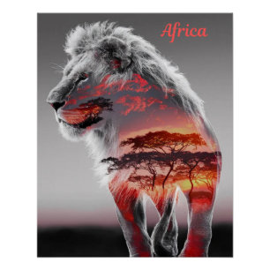 Póster África - Un ilustracion de león