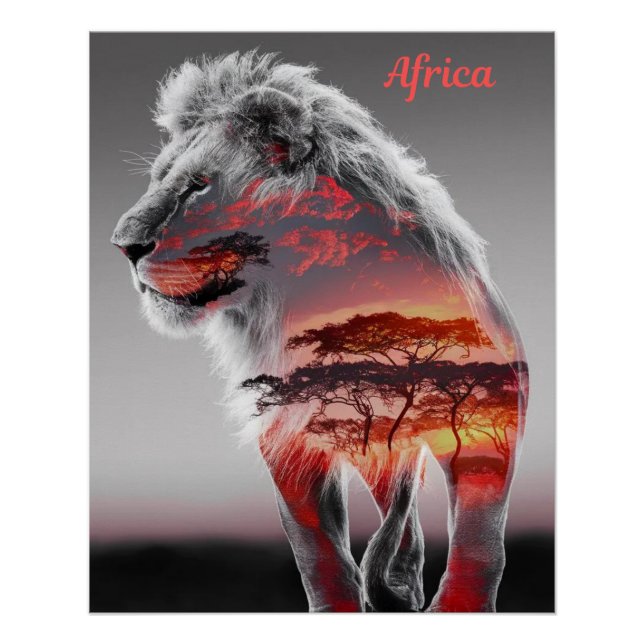 Póster África - Un ilustracion de león (Anverso)