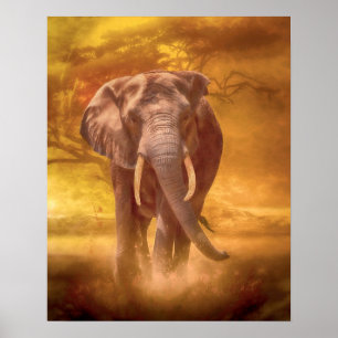 Póster African Elephant Nobility