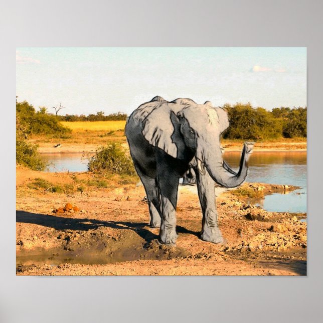 Póster African Elephant Poster (Frente)
