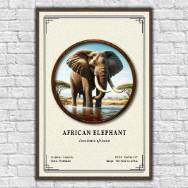 Póster African Elephant Zoology Series