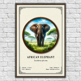 Póster African Elephant Zoology Series