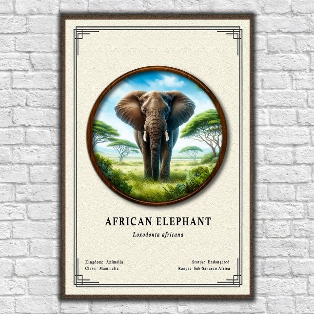 Póster African Elephant Zoology Series (Subido por el creador)