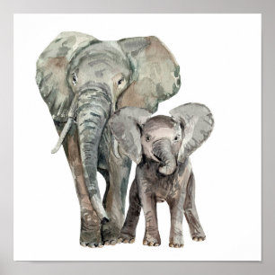 Póster African Elephants wild animal