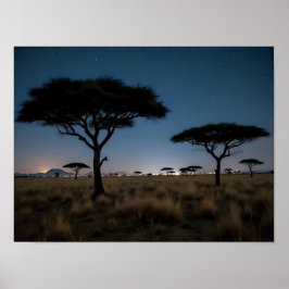 Póster African Savanna Acacia Trees Stars Night Landscape