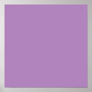 Póster African violet (solid color)