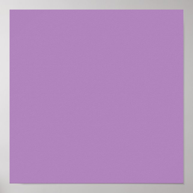 Póster African violet  (solid color)  (Frente)