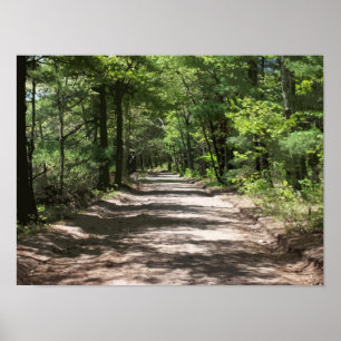 Póster Afternoon Shadows