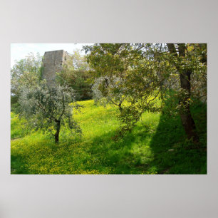 Póster Afuera de las murallas de San Gimignano